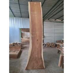 Suar Slab Wood Suar Slab Wood