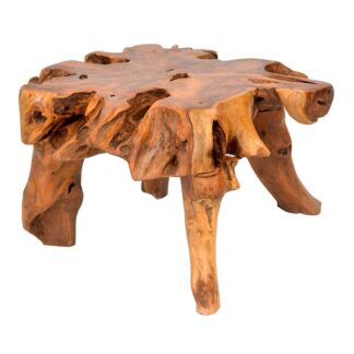 Root Suar Wood Coffee Table Handmade Furniture