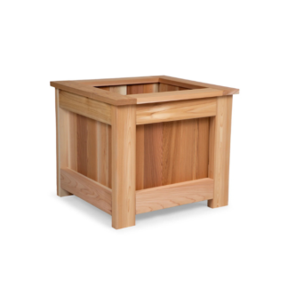 Solid Frame Tea Solid Frame Tea