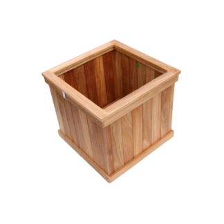 Square Tall Tea Square Tall Tea